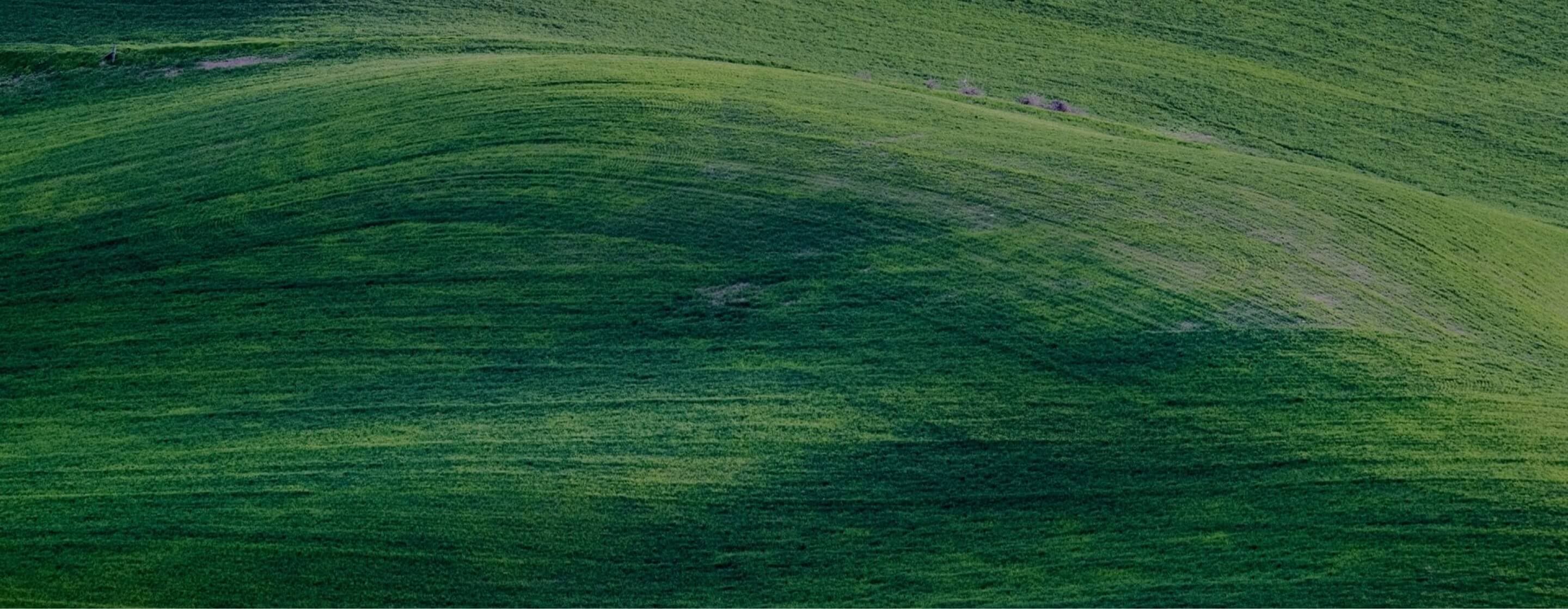 Child smiling during social initiative