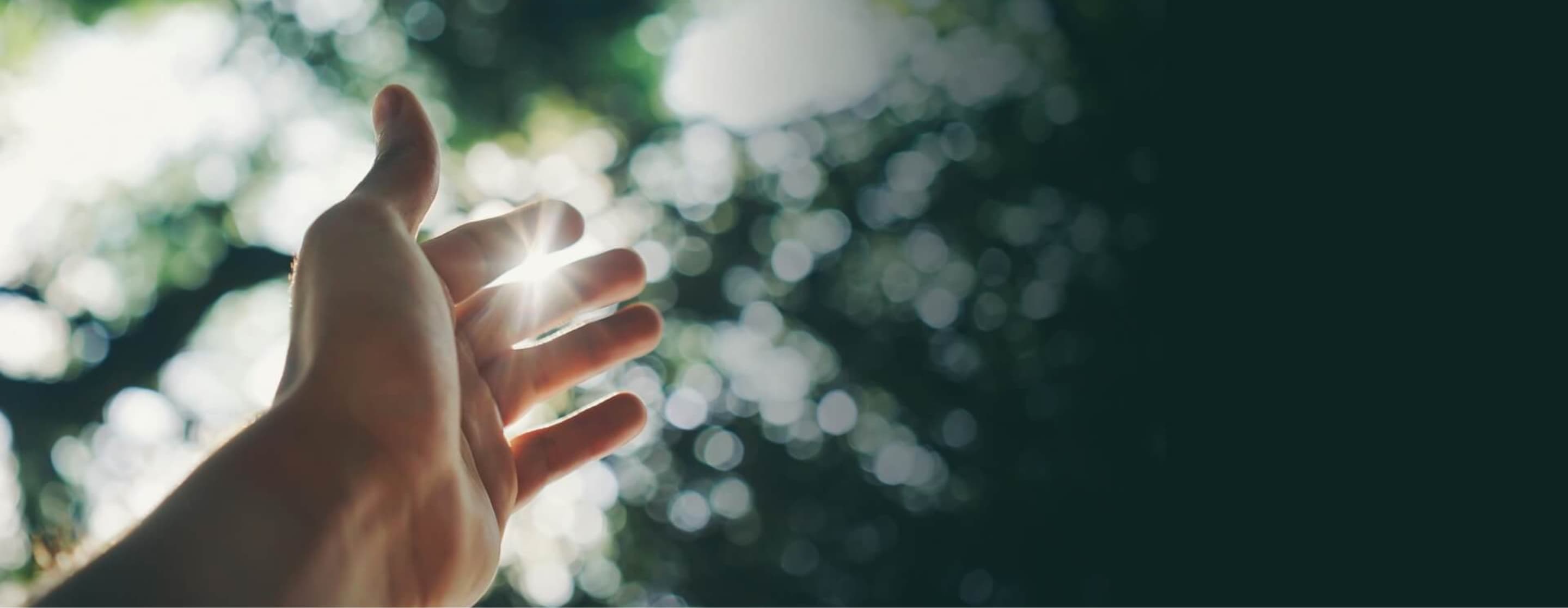 Environmental conservation project