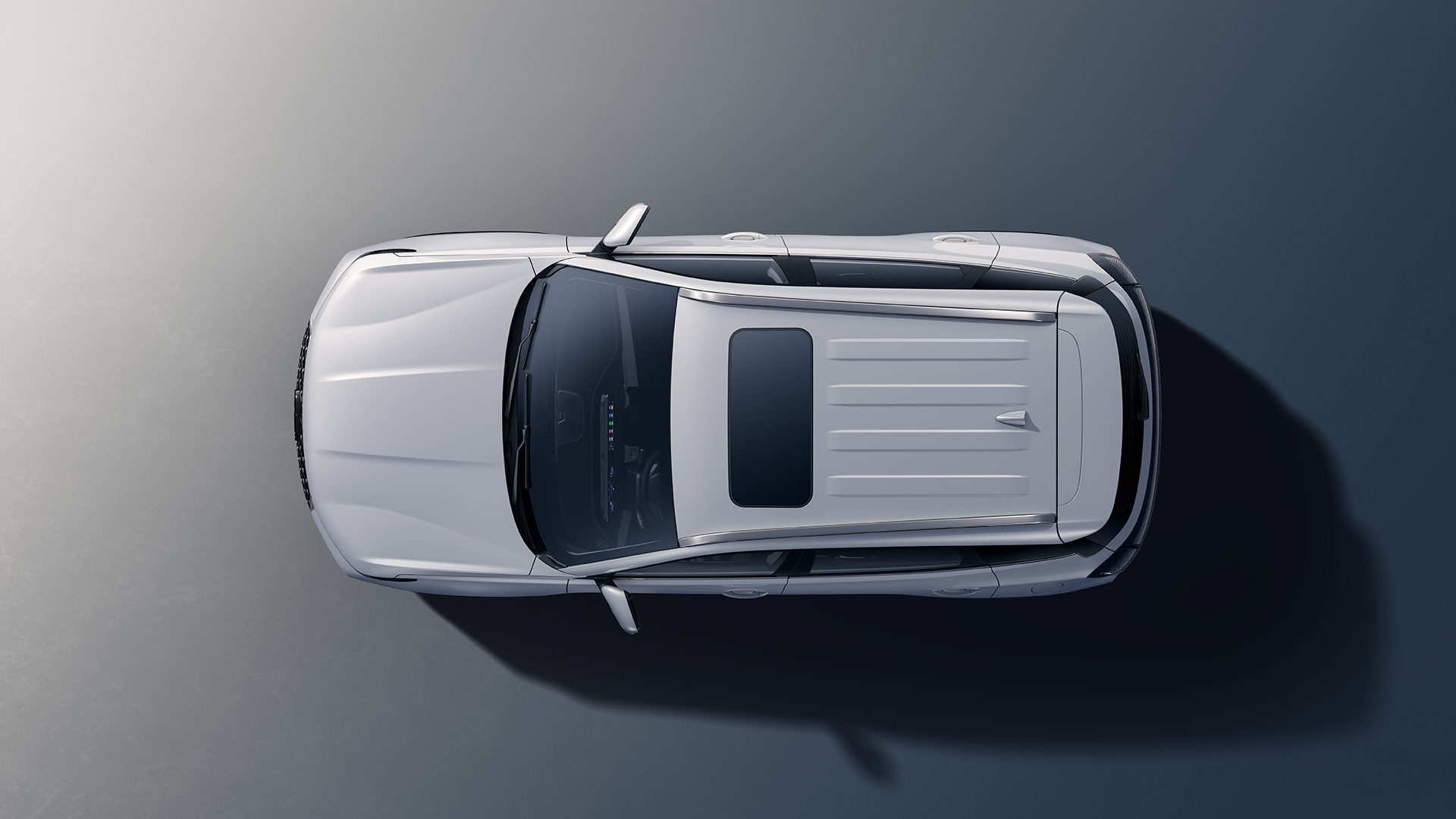 BIOMIMETIC TIGER FACE